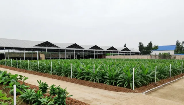 长春网站优化，如何通过覆盖范围提升厂商名录服务